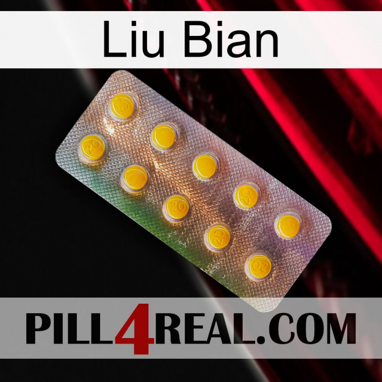 Liu Bian new11